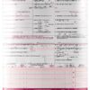CMS 1500 Insurance Claim Forms Stockchecks Ink-Jet 8.5x11 2000 Sheets-0