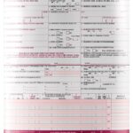 CMS 1500 Insurance Claim Forms Stockchecks Ink-Jet 8.5x11 2000 Sheets-0